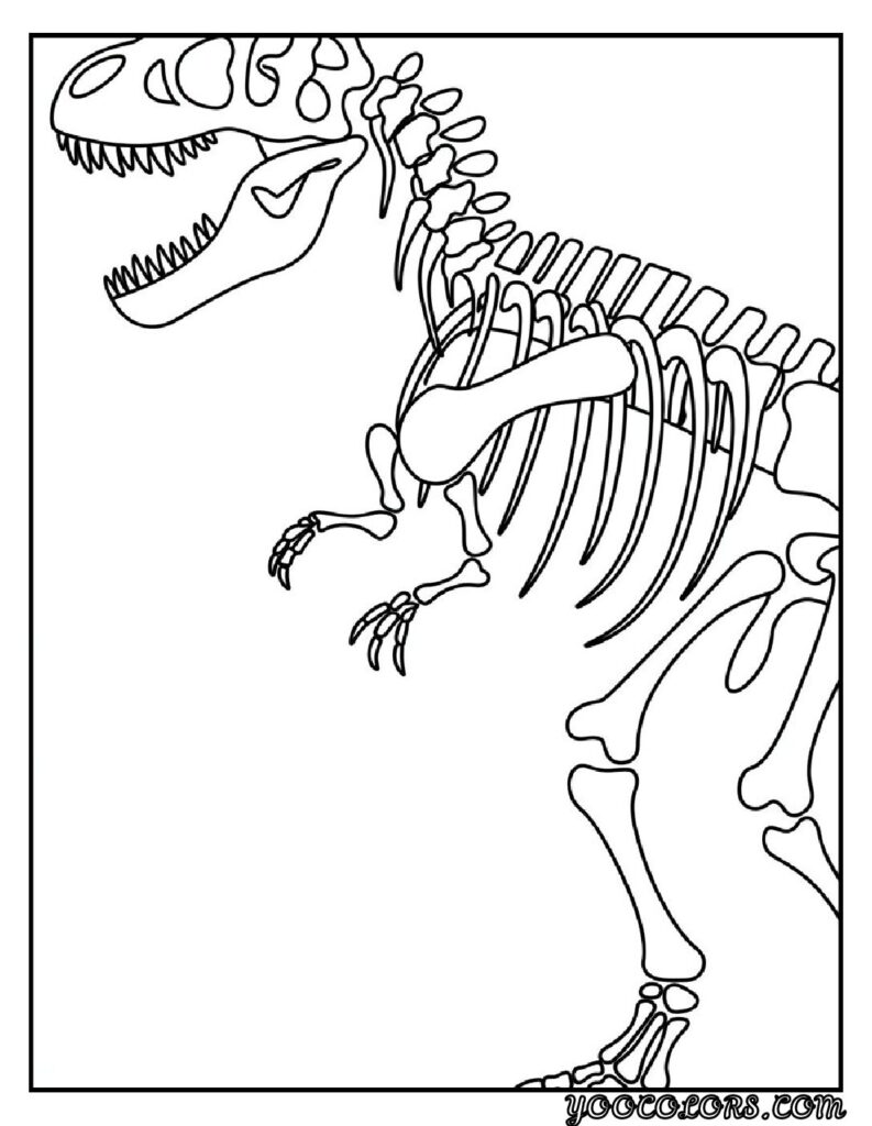 T-Rex Coloring Pages: Top 20 Printable Designs for Kids and Adults 8 T rex coloring pages T Rex skeleton diagram pdf