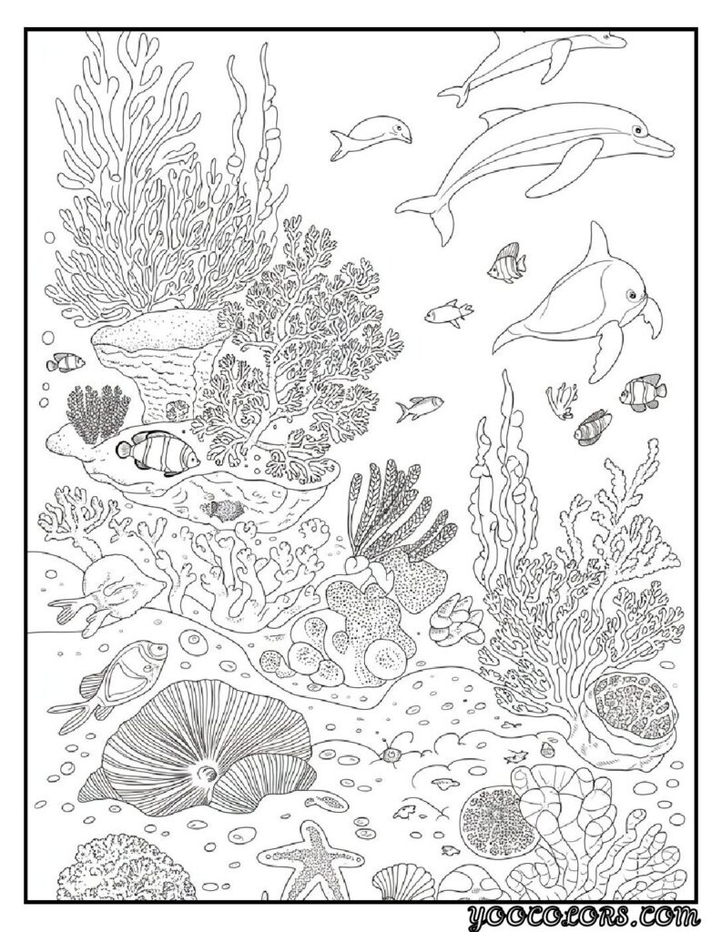 Sea Creature Coloring Pages: Top 20 Designs for Creative Fun 16 Sea Creature coloring pages Coral Reef Scene Coloring pdf