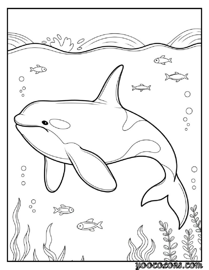 Sea Creature Coloring Pages: Top 20 Designs for Creative Fun 17 Sea Creature coloring pages Orca Whale Coloring Page pdf
