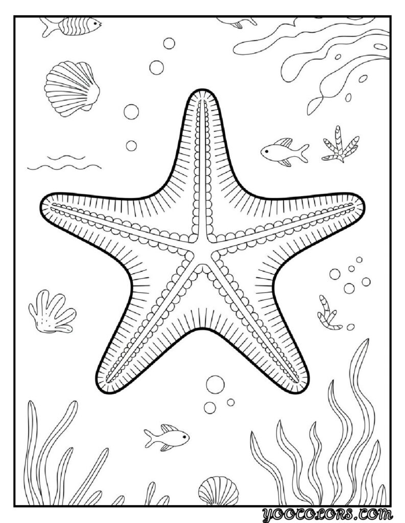 Sea Creature Coloring Pages: Top 20 Designs for Creative Fun 14 Sea Creature coloring pages Starfish Coloring Sheet pdf