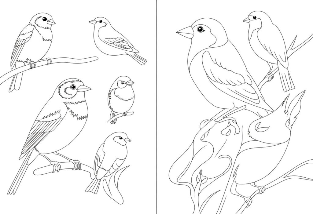 Birds Coloring Pages A Fun and Creative Way to Explore the World of Birds 2 birds coloring pages