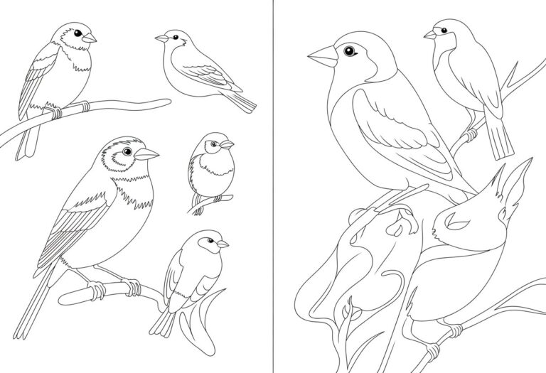 20 Birds Coloring Pages - Free Printable PDF