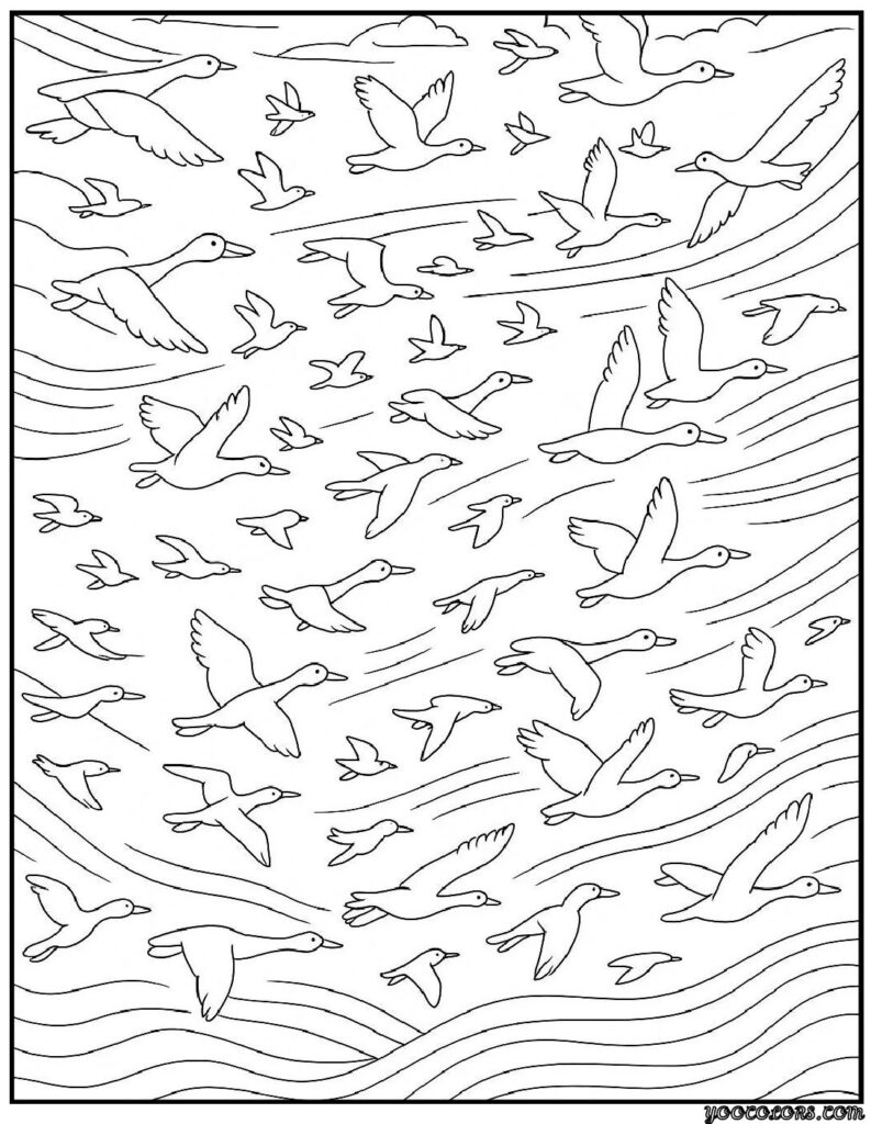 Fall Coloring Pages for Adults 19 Creative Designs to Inspire Relaxation 9 fall coloring pages for adults Birds migrating in dynamic sky formations pdf