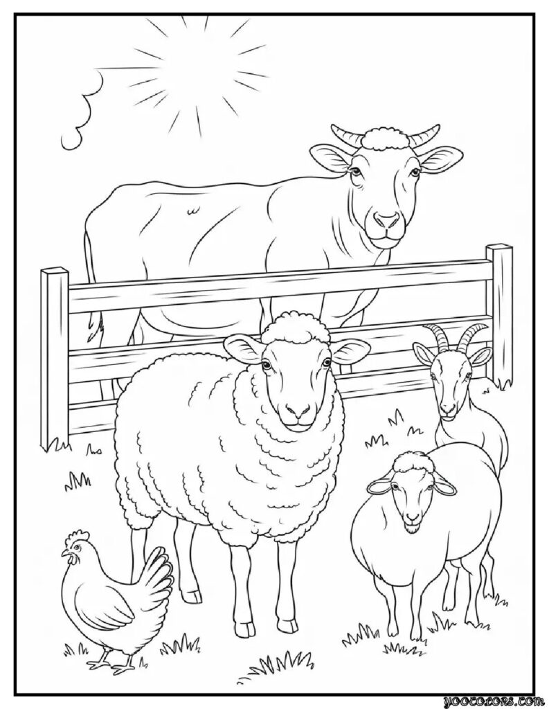 Sheep Coloring Pages: Free, Printable, and Fun for All Ages 14 sheep coloring pages sheep and barn friends sheep.webp pdf