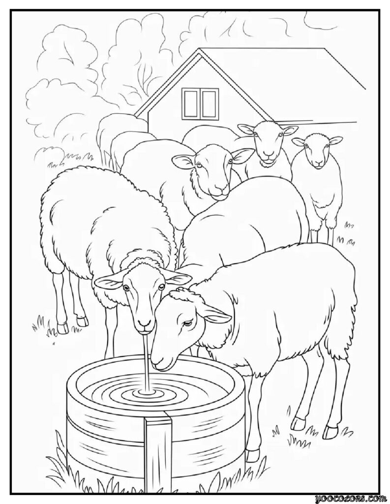 Sheep Coloring Pages: Free, Printable, and Fun for All Ages 16 sheep coloring pages sheep at the water well sheep drinking.webp pdf