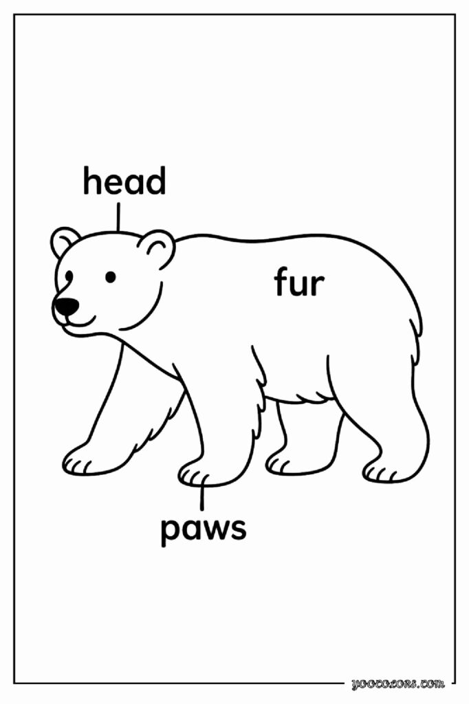 40 Polar Bear Coloring Pages: Cozy Winter Fun You Can Print Today 7 Polar bear coloring pages 8 1 pdf