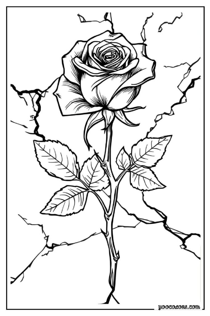 Rose Coloring Pages: A Timeless, Creative Escape for Kids and Adults 14 rose coloring pages 15 pdf