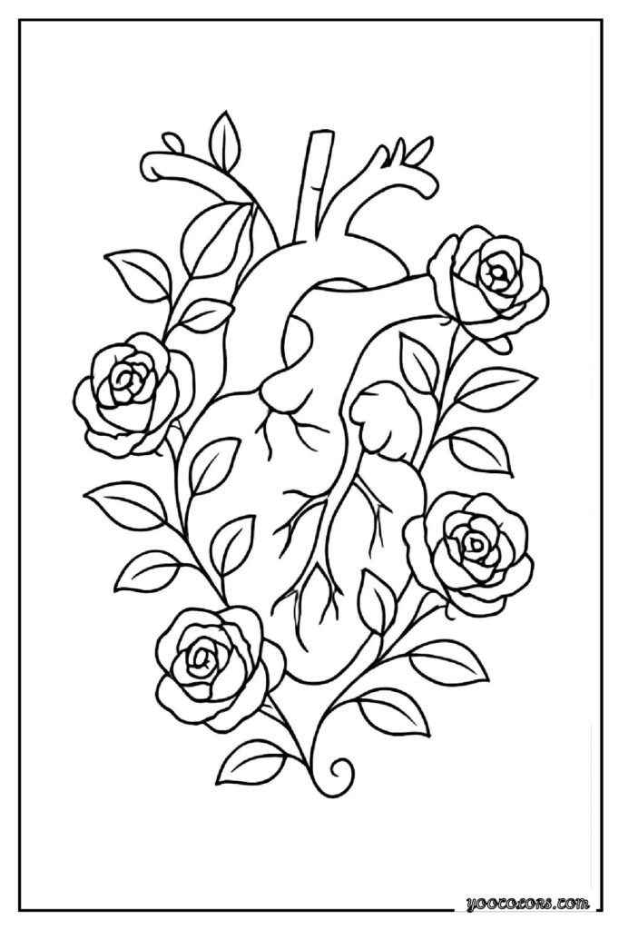 Rose Coloring Pages: A Timeless, Creative Escape for Kids and Adults 23 rose coloring pages 23 pdf
