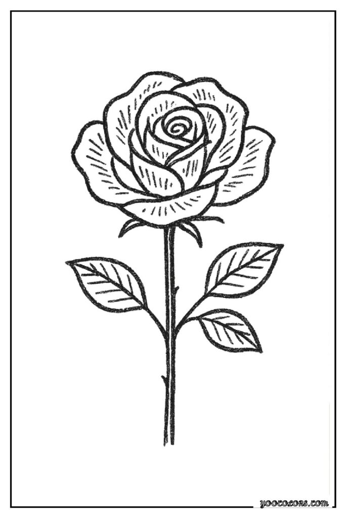 Rose Coloring Pages: A Timeless, Creative Escape for Kids and Adults 27 rose coloring pages 28 pdf