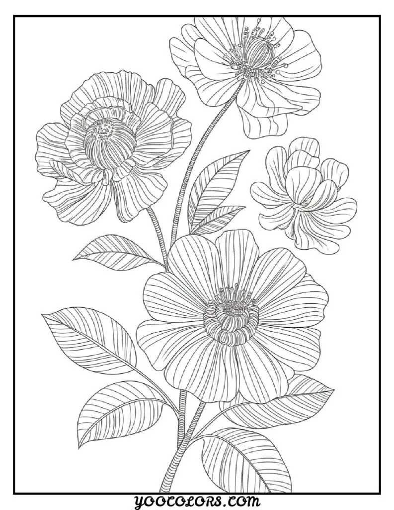Adult Coloring Page Ideas: 60 Best Designs for Relaxation and Creativity 55 adult coloring pages vintage botanical prints 1 pdf