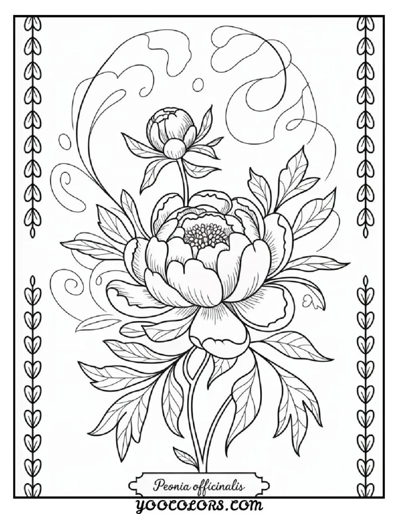 Adult Coloring Page Ideas: 60 Best Designs for Relaxation and Creativity 54 adult coloring pages vintage botanical prints 2 pdf
