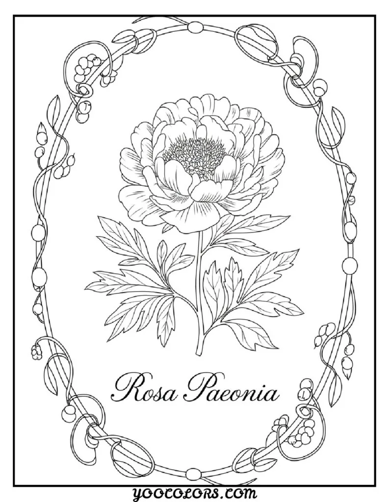 Adult Coloring Page Ideas: 60 Best Designs for Relaxation and Creativity 57 adult coloring pages vintage botanical prints 3 pdf