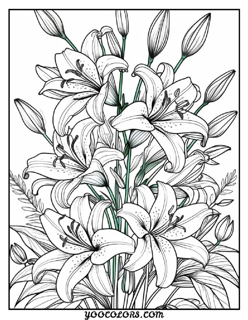 Flower Coloring Pages: 27 Best Designs for All Ages 27 flower coloring pages Lily Floral Arrangement pdf