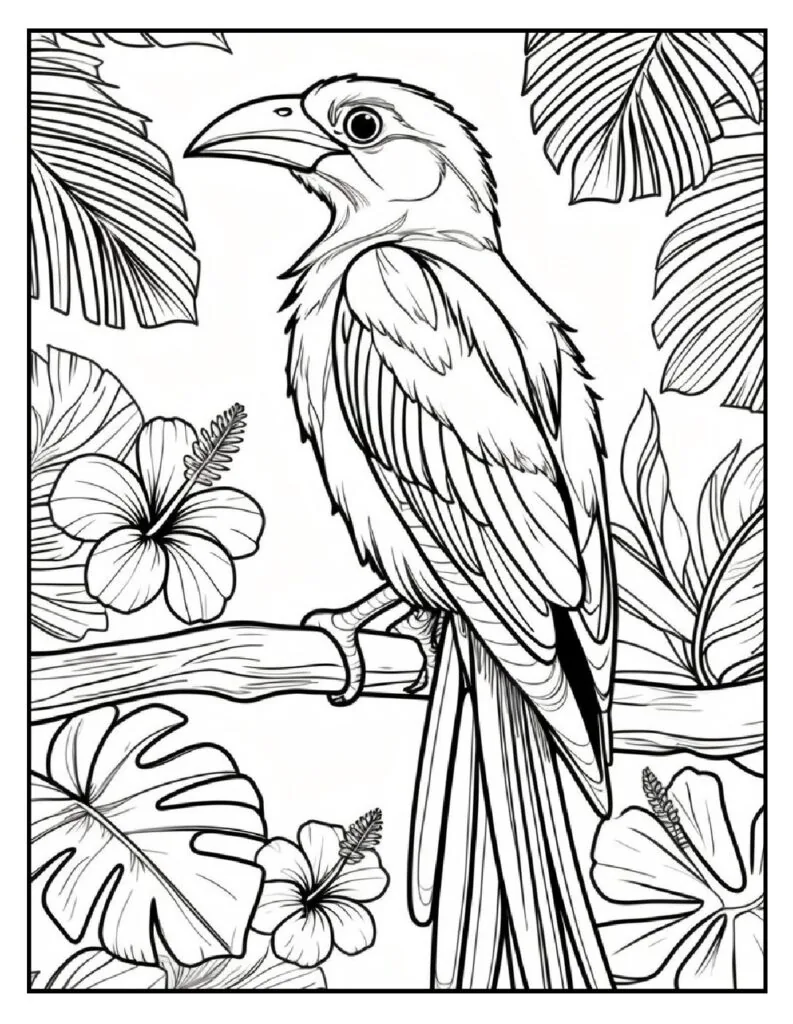 50 Fun And Easy, Free Printable Simple Summer Coloring Pages 53 summer coloring page Tropical Bird Coloring Page pdf