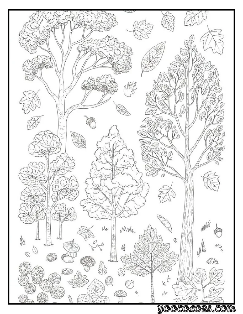 20 Free Fall Coloring Pages to Inspire Creativity This Season 5 Free Fall Coloring Pages Autumn leaves and trees pdf