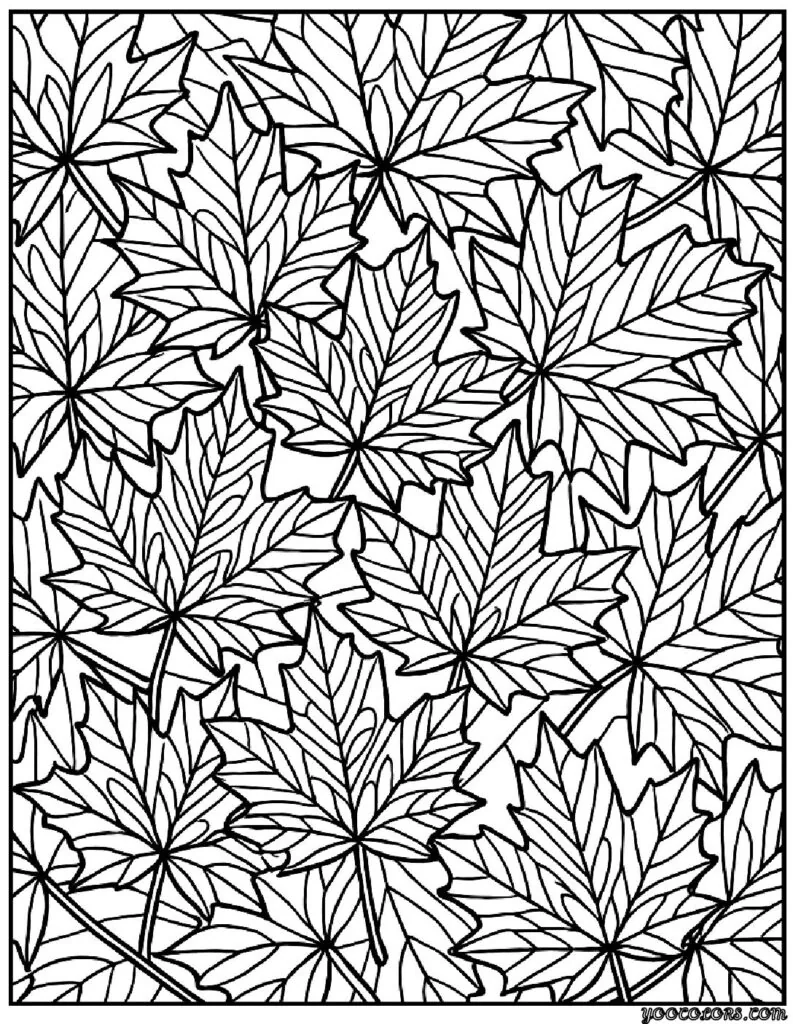 Autumn Coloring Pages for Adults: Relax, Unwind & Celebrate Fall 4 autumn coloring page sfor adults 1 pdf