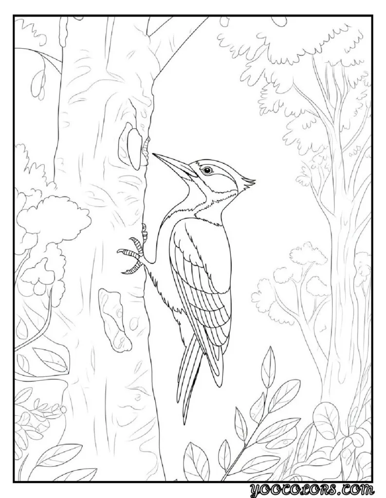 Birds Coloring Pages A Fun and Creative Way to Explore the World of Birds 16 bird coloring pages 12 pdf
