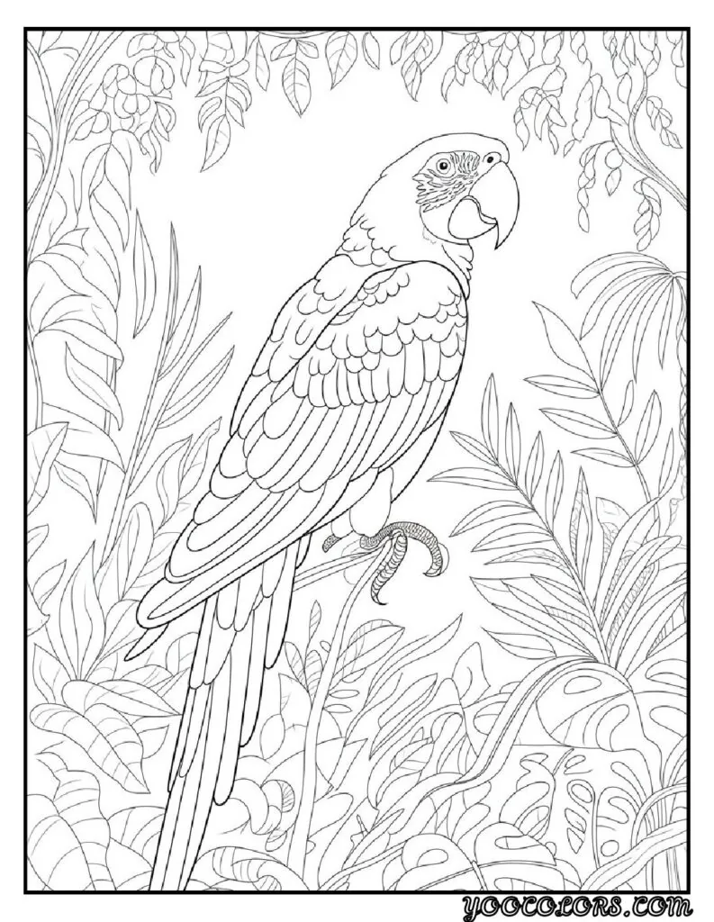 Birds Coloring Pages A Fun and Creative Way to Explore the World of Birds 18 bird coloring pages 14 pdf