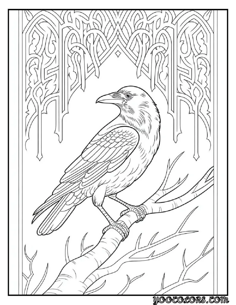 Birds Coloring Pages A Fun and Creative Way to Explore the World of Birds 20 bird coloring pages 16 1 pdf