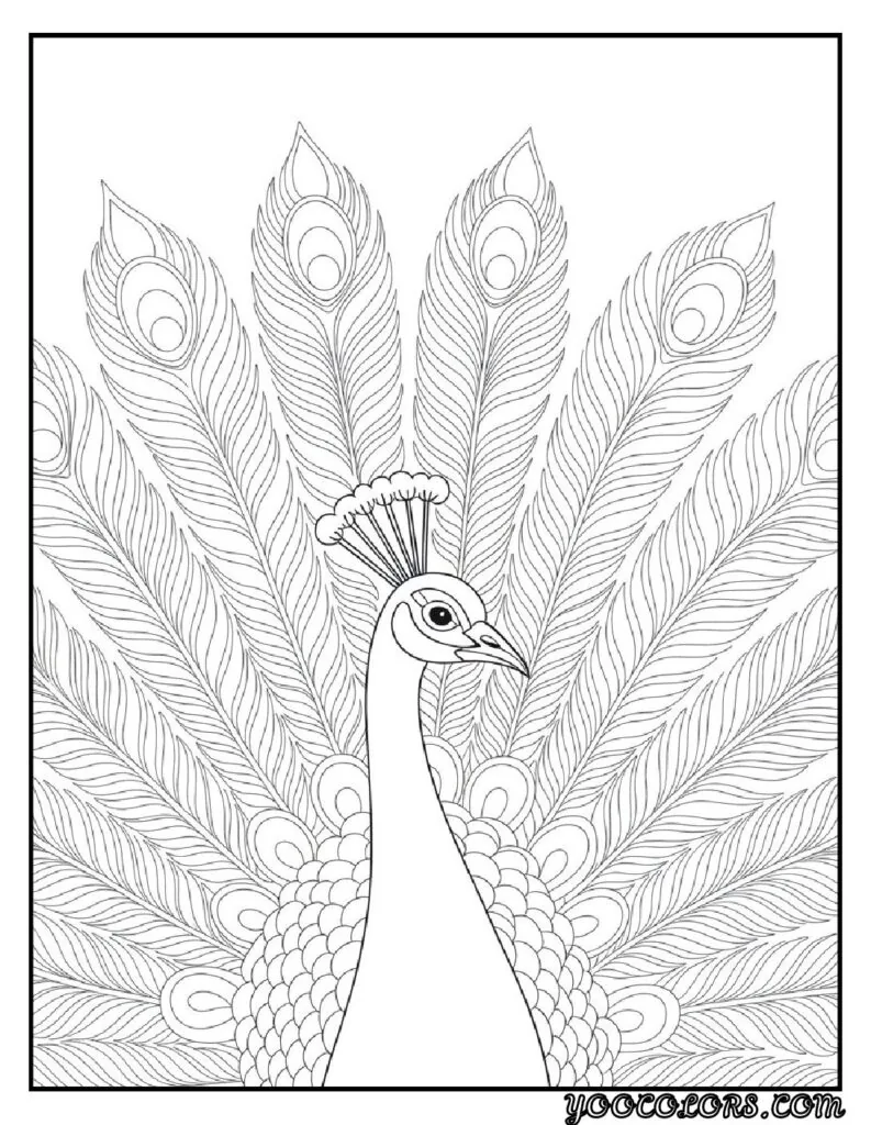 Birds Coloring Pages A Fun and Creative Way to Explore the World of Birds 6 bird coloring pages 2 pdf