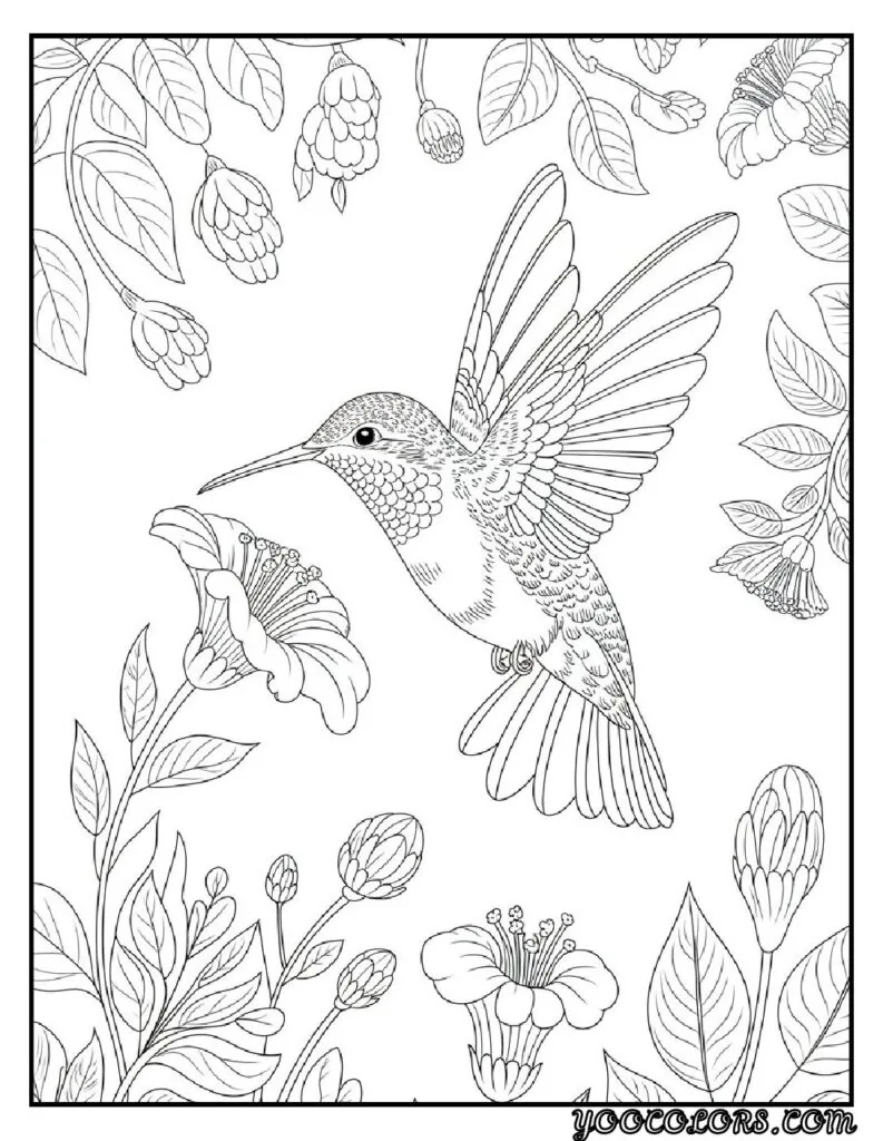 Birds Coloring Pages A Fun and Creative Way to Explore the World of Birds 8 bird coloring pages 4 pdf