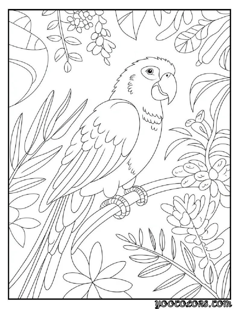 Birds Coloring Pages A Fun and Creative Way to Explore the World of Birds 4 bird coloring pages pdf