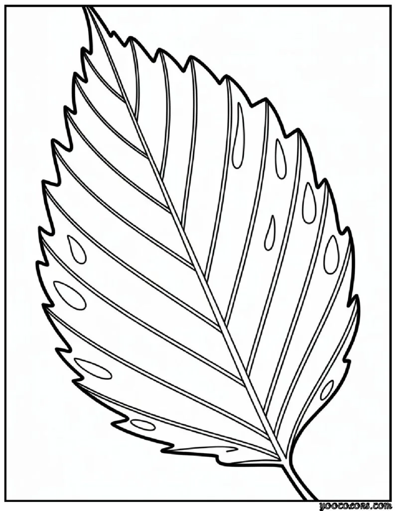 Fall Leaves Coloring Pages 10 fall leaves coloring pages Elm leaf with natural edges 2 1 pdf