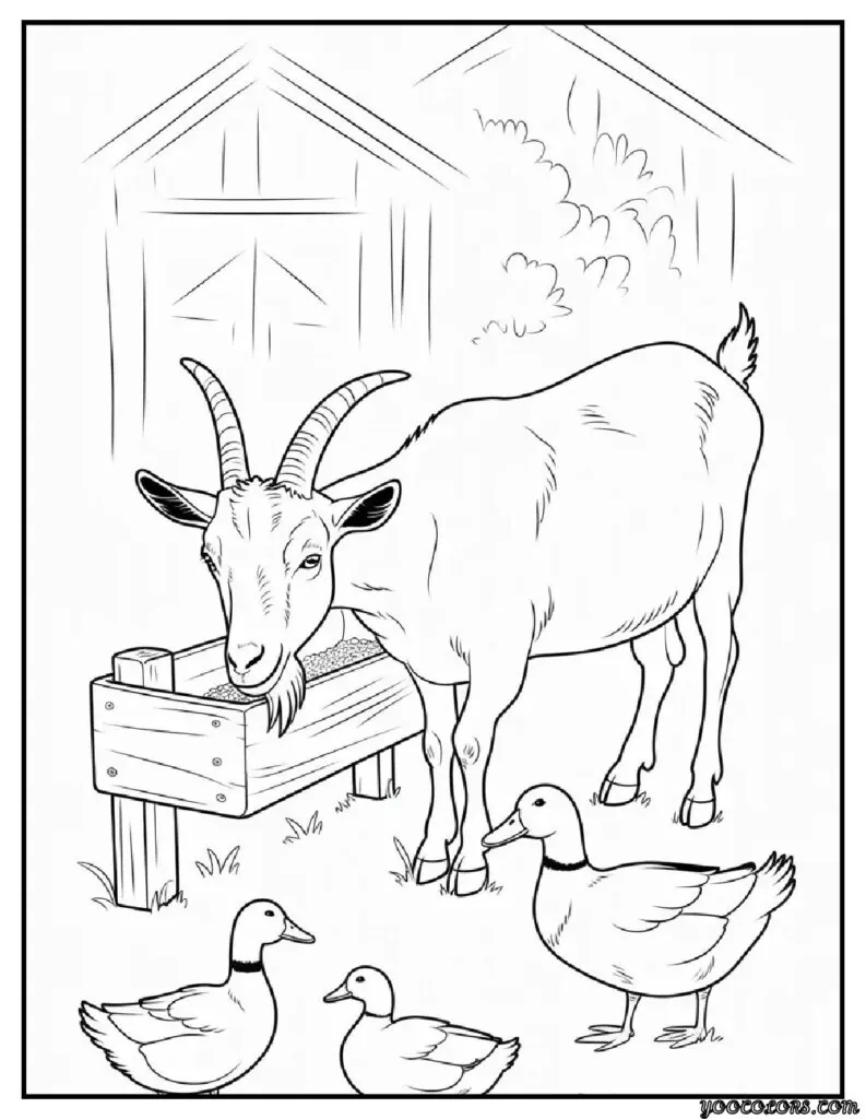 Goat Coloring Pages: Fun, Relaxing & Educational 17 goat coloring pages goat at the feeding trough goat eating.webp pdf